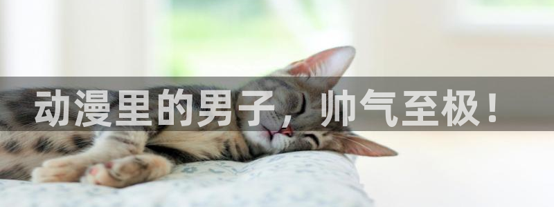 奇漫屋漫画全集在线：动漫里的男子，帅气至极！配图