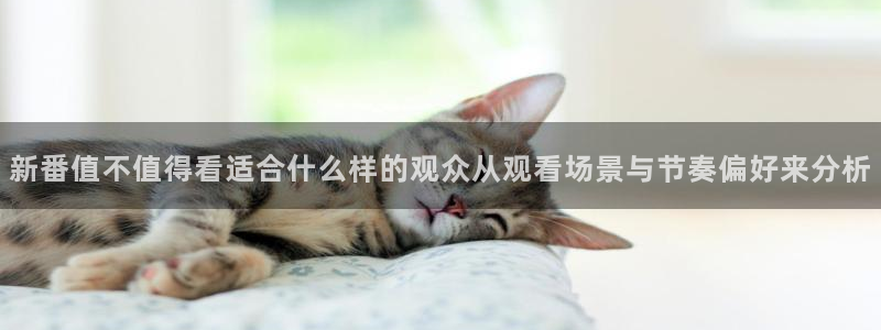 奇漫屋漫画完结排行榜：新番值不值得看适合什么样的观众从观看场景与节奏偏好来分析配图